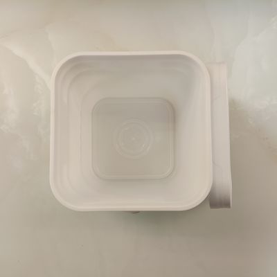 ODM OEM 10 Liter Quadrat Plastikbehälter mit Griffe Chemikalienbeständig
